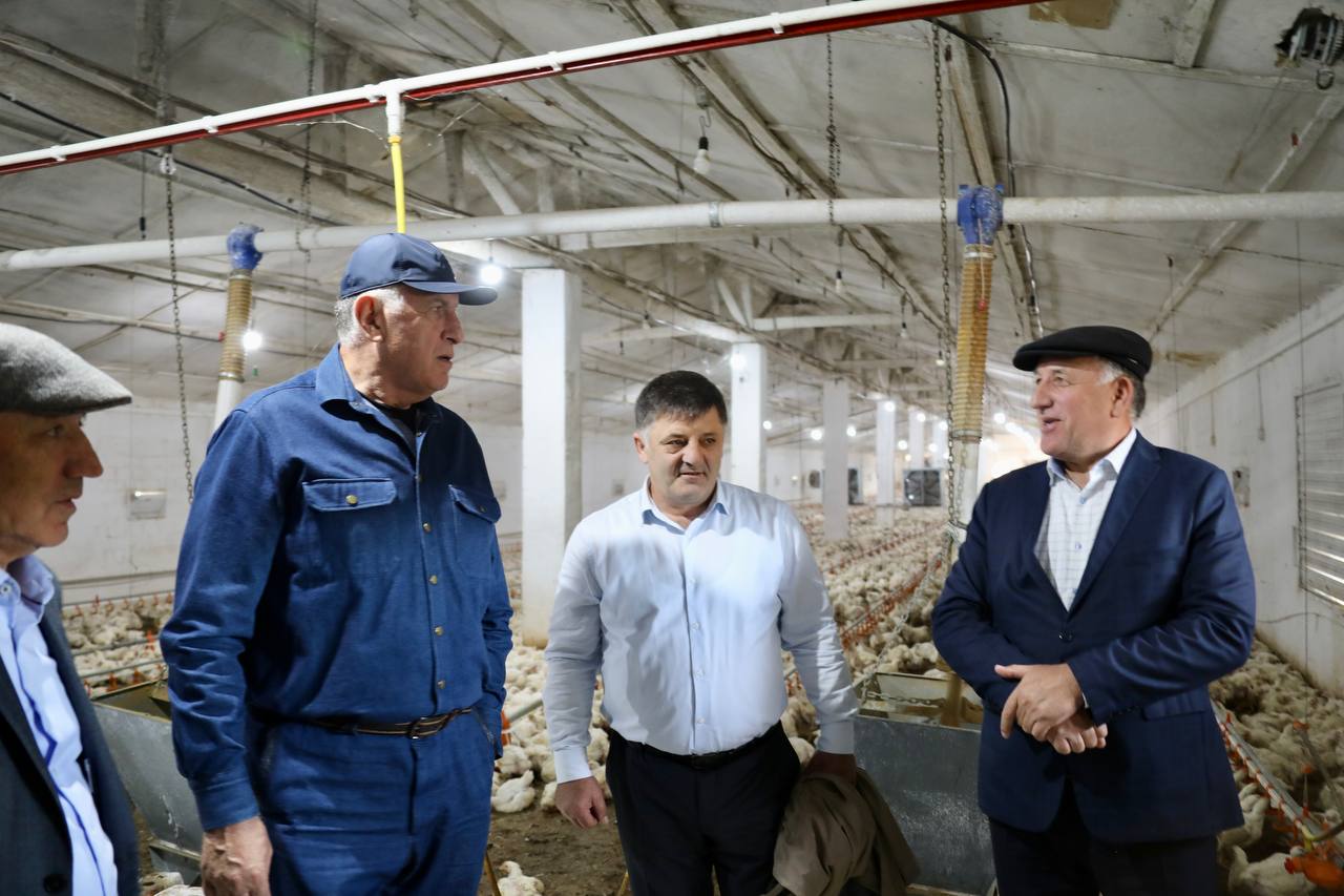 В Дагестане проводят модернизацию Калиновской птицефабрики