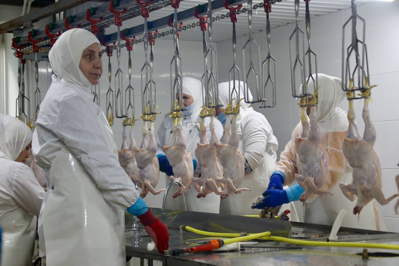В Дагестане проводят модернизацию Калиновской птицефабрики