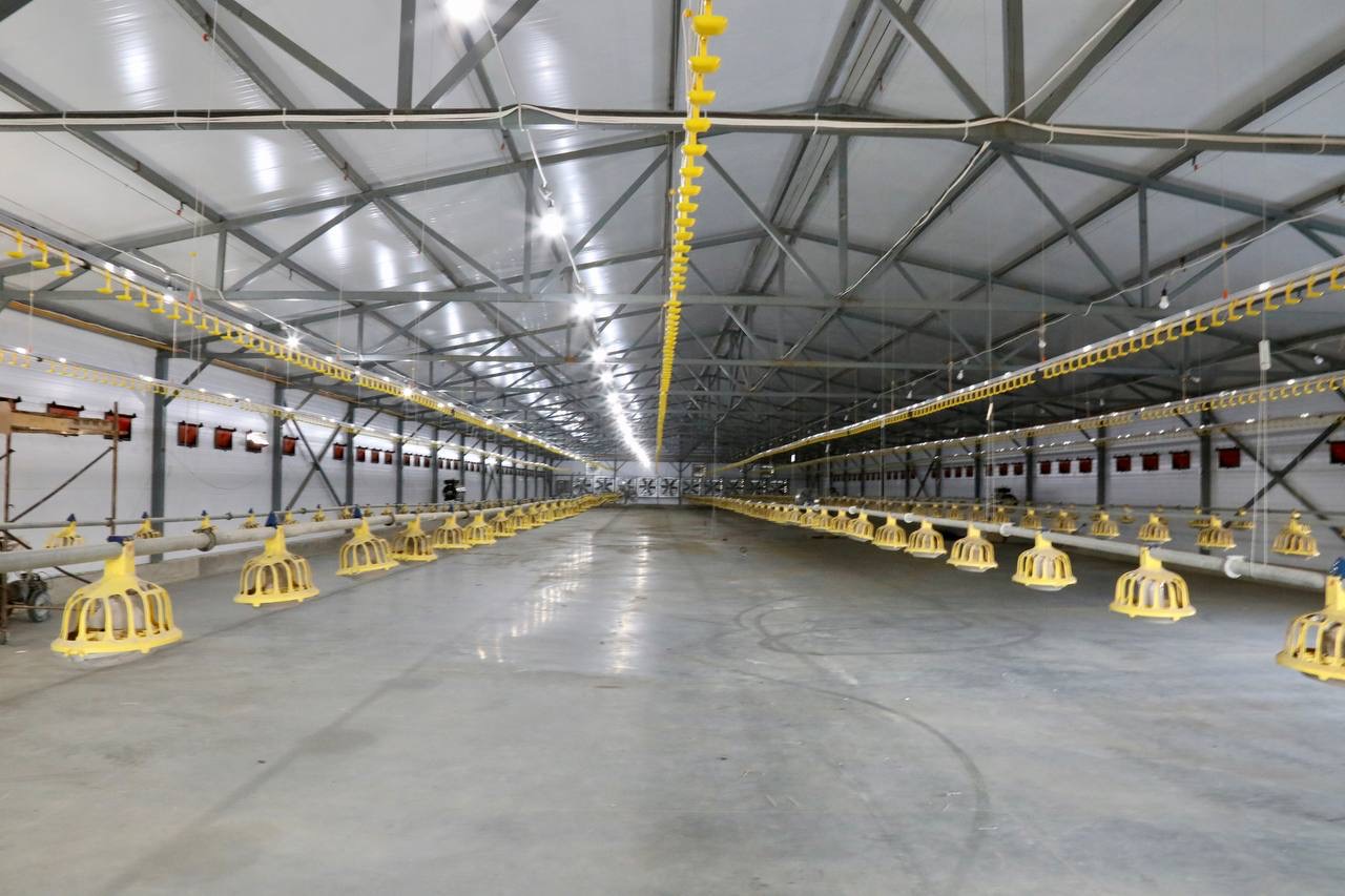 В Дагестане проводят модернизацию Калиновской птицефабрики