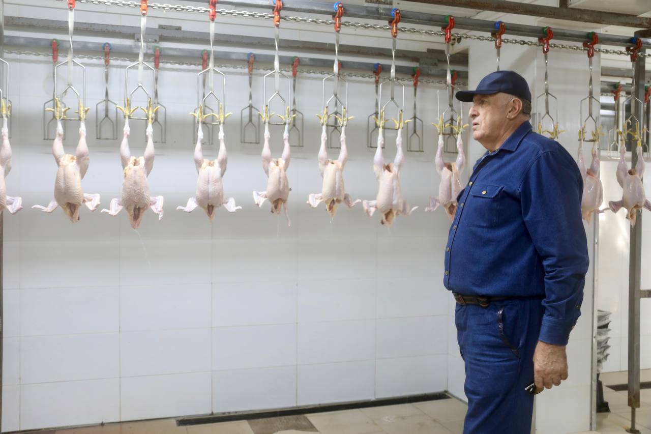 В Дагестане проводят модернизацию Калиновской птицефабрики