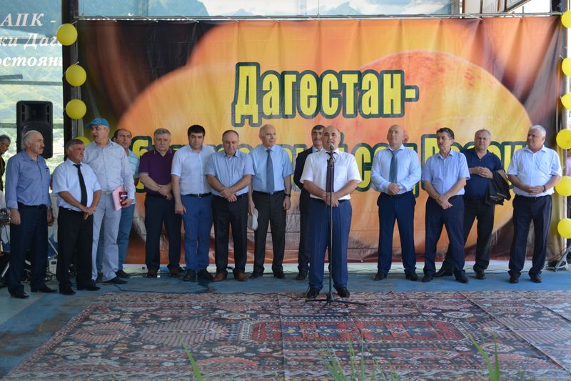 Фестиваль абрикоса прошел на базе Кикуниского консервного завода в Гергебильском районе