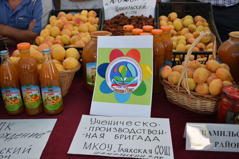 Фестиваль абрикоса прошел на базе Кикуниского консервного завода в Гергебильском районе