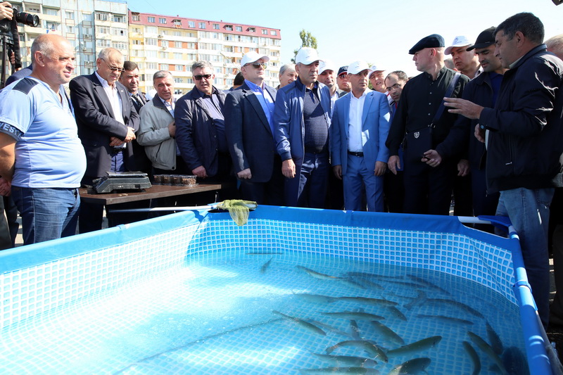 Абдусамад Гамидов принял участие в фестивале «Каспийская рыба»